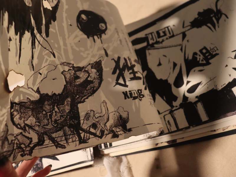 portfolio
